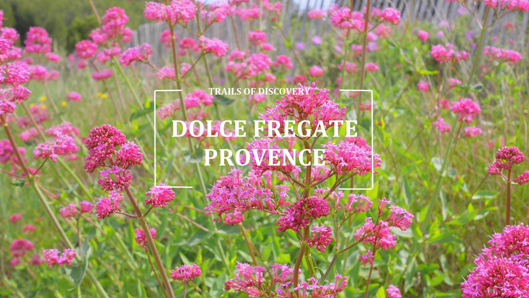 Trails-discovery-dolce-fregate-provence