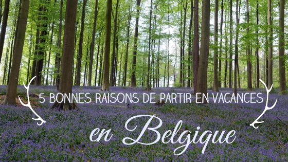 5-bonnes-raisons-de-partir-en-vacances-en-belgique