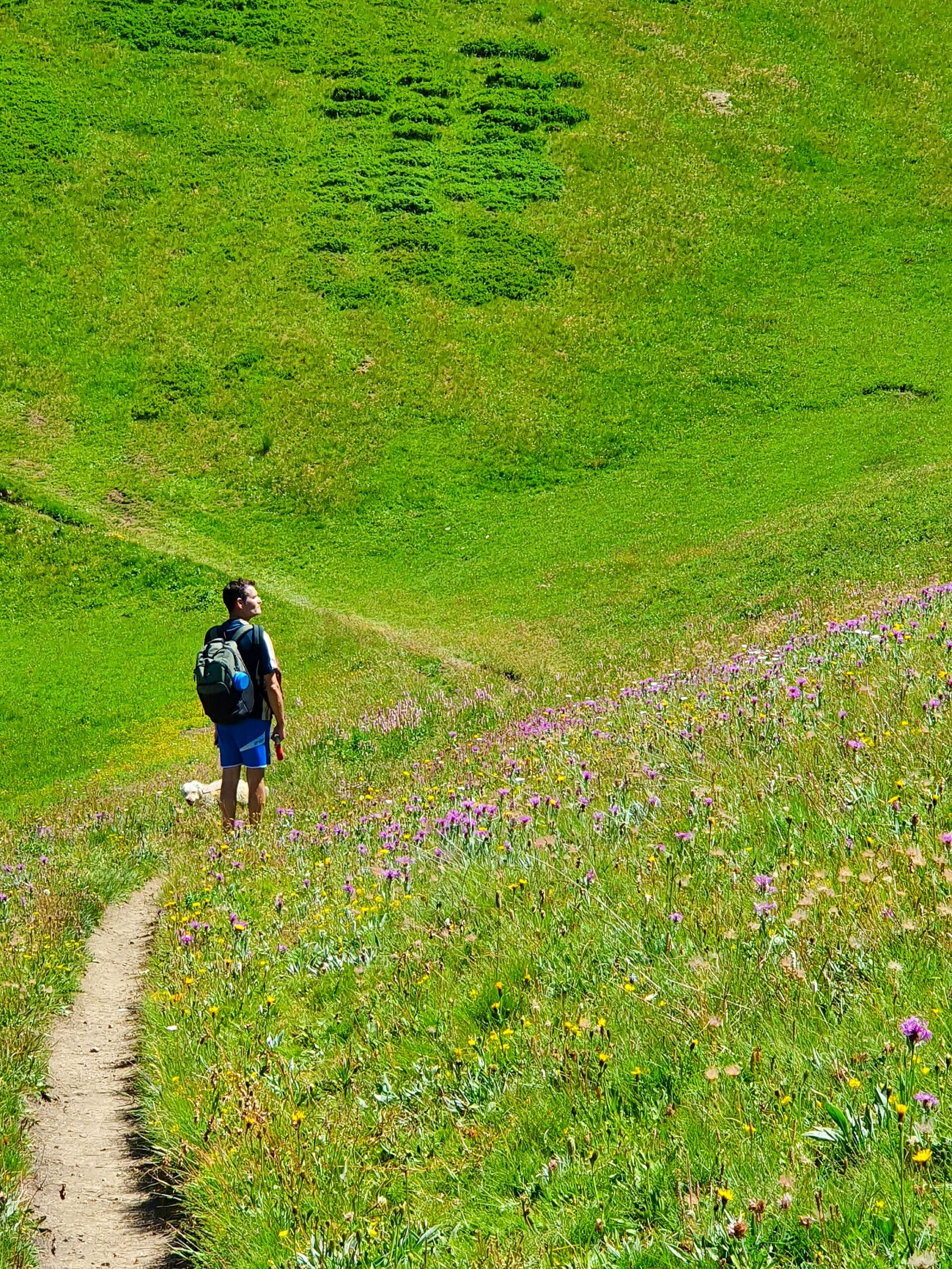randonnée en montagne