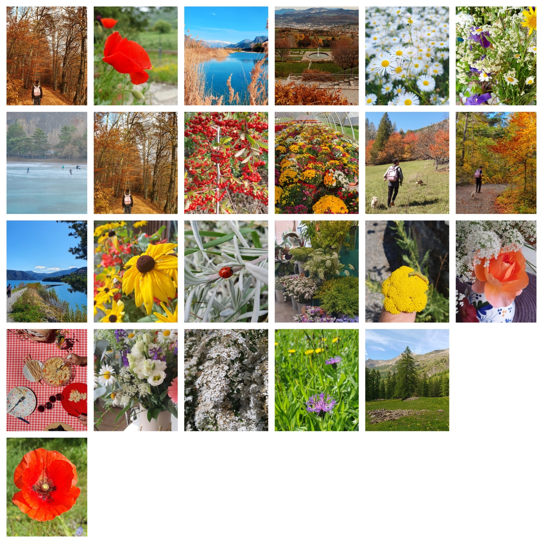 Bilan 2025 / aspirations pour 2026